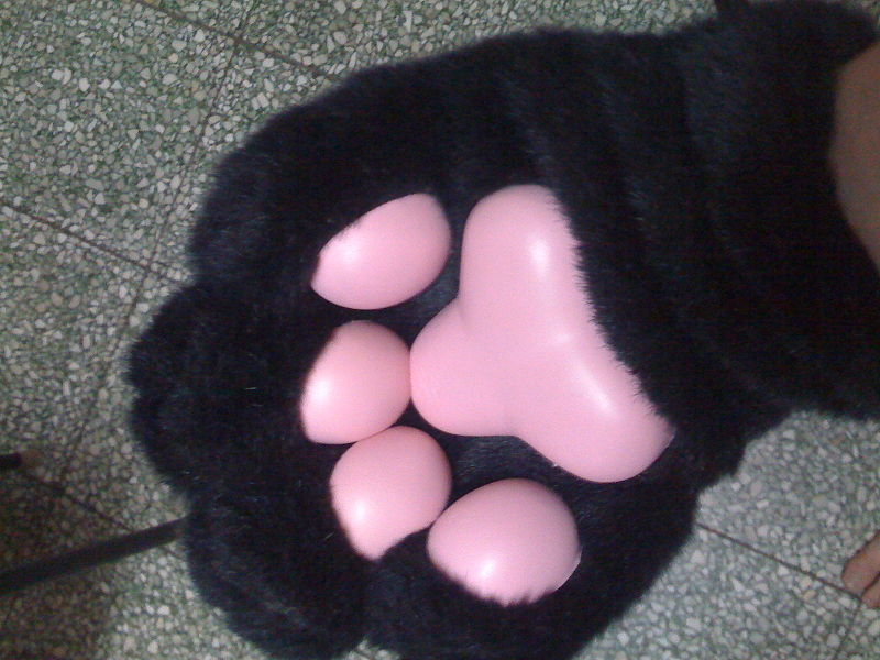 圖片:IMG 0039.jpg
